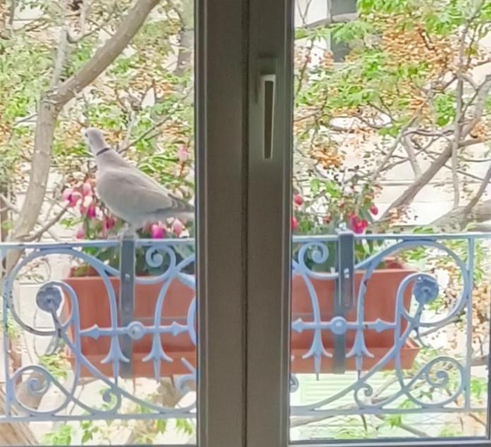 A Deux Pas D'Avignon Villa Aramon Dış mekan fotoğraf